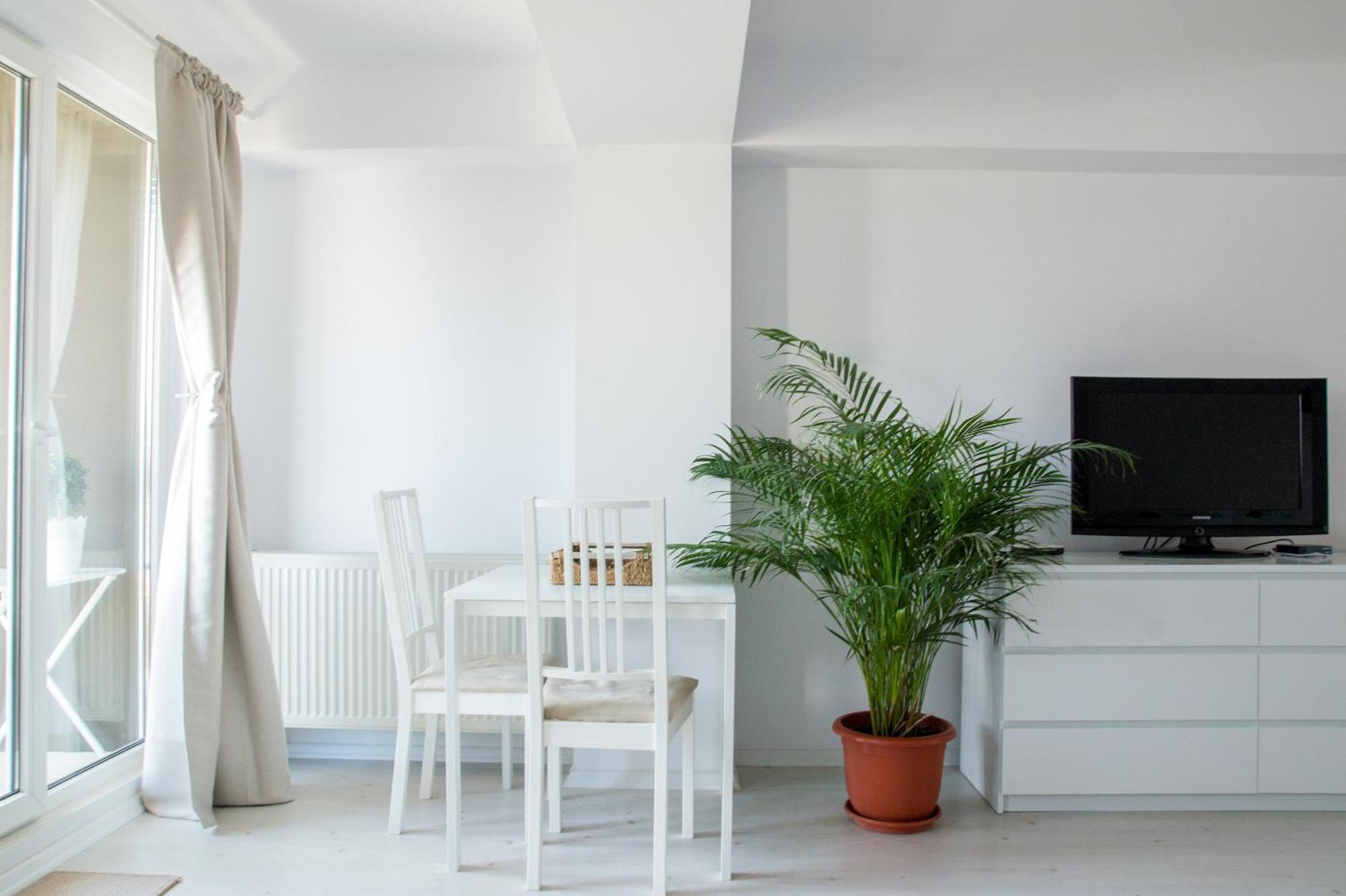 Airport Residence - 5 Mins From Airport 奥托佩尼 外观 照片
